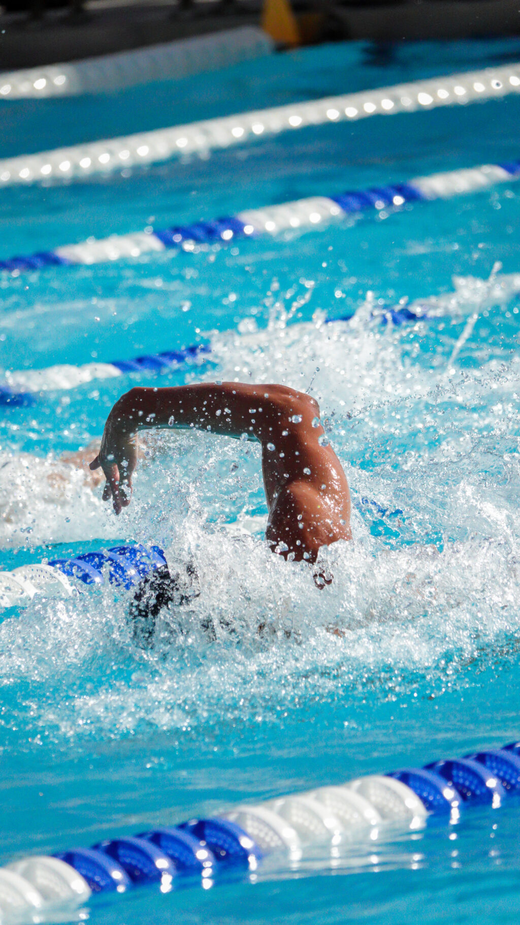 Photos FHSAA Class 4A Swim and Dive State Championships 10.5.2022