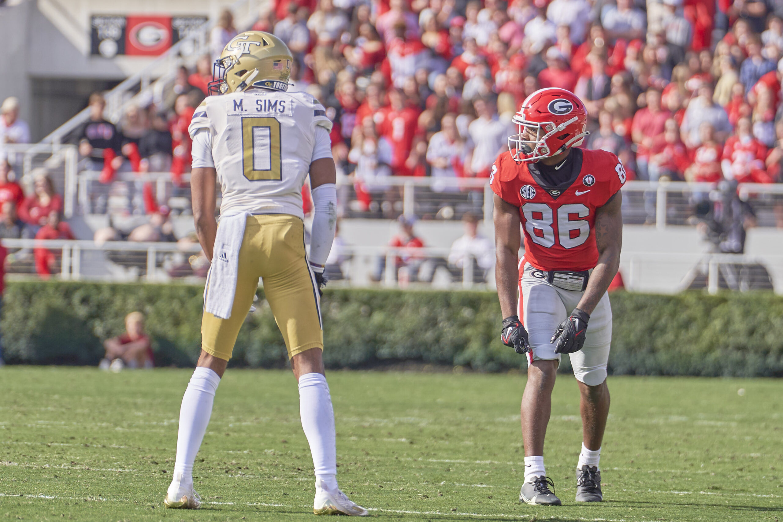 Uga Vs Ga Tech 2025 - Alyse Bertine