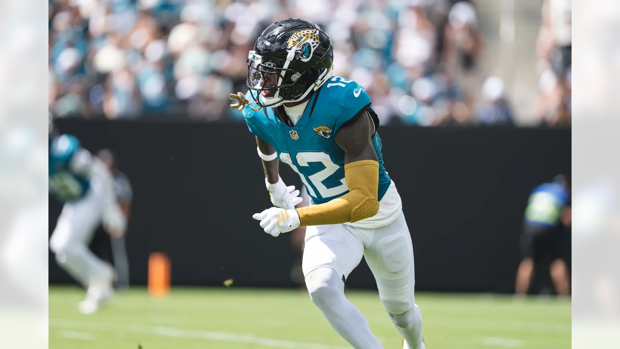 Hunting Snaps: Week 1