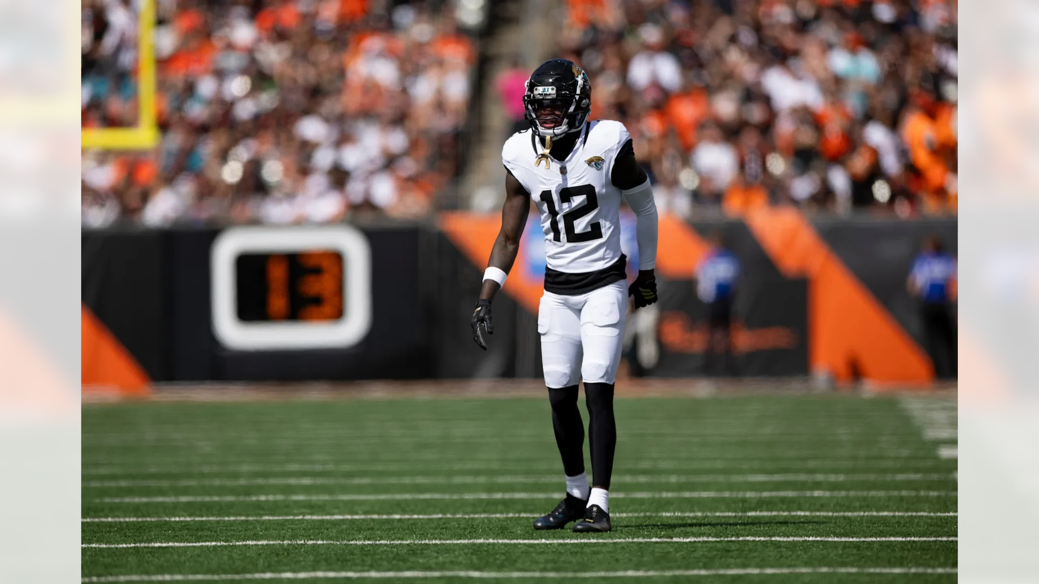 Hunting Snaps: Week 4